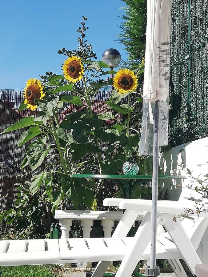 Apartamento Duplex Con Vistas Al Mar Los Girasoles Mogro Exteriör bild